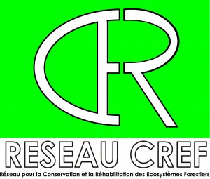 RESEAU-CREF-LOGO-300x255-1