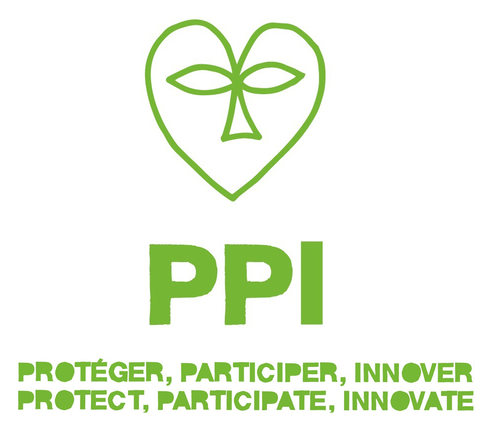 logo-ppi
