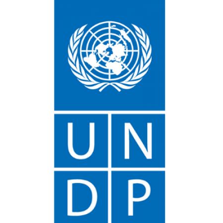 UNDP-logo