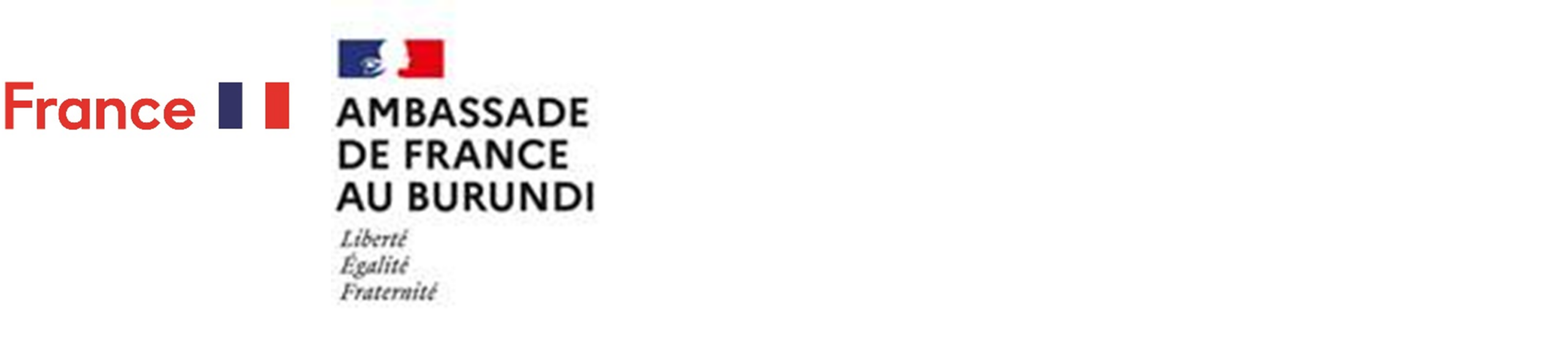 logo ambassade de France